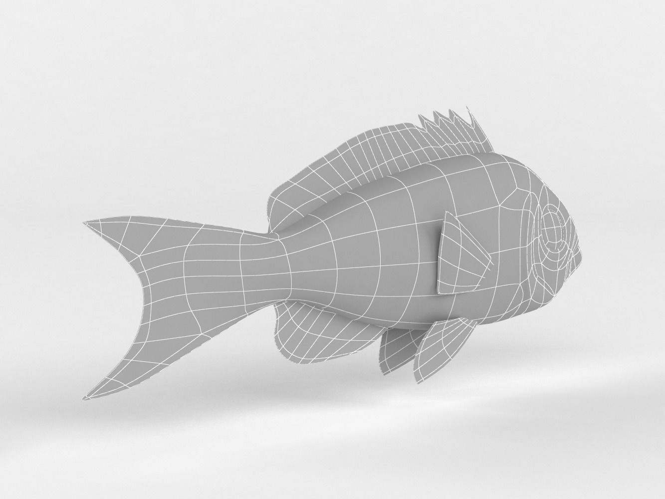 Creole Fish 3D model_9