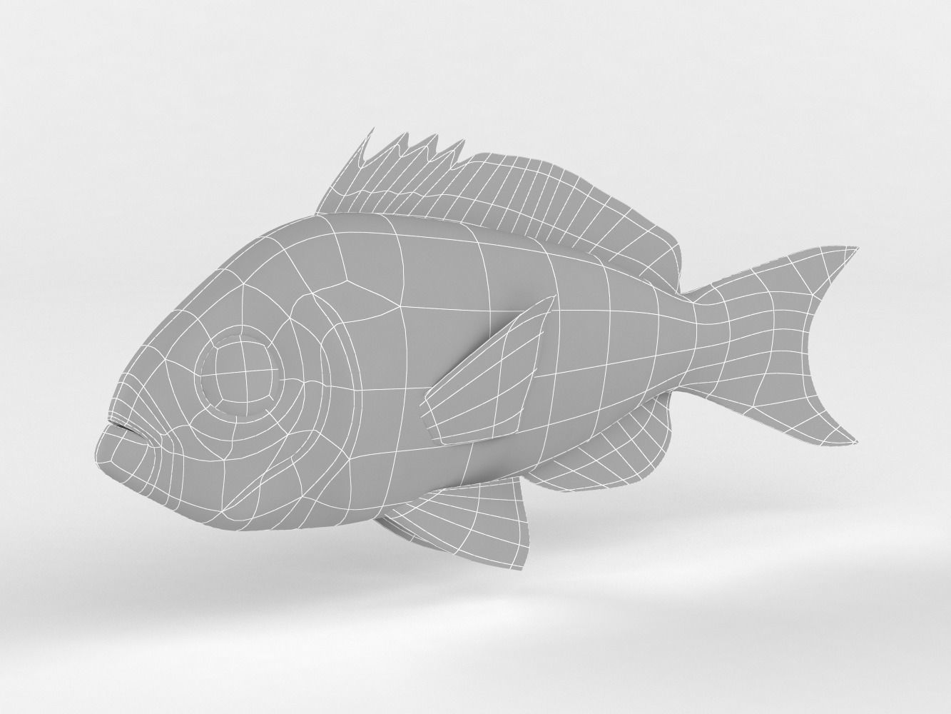 Creole Fish 3D model_8