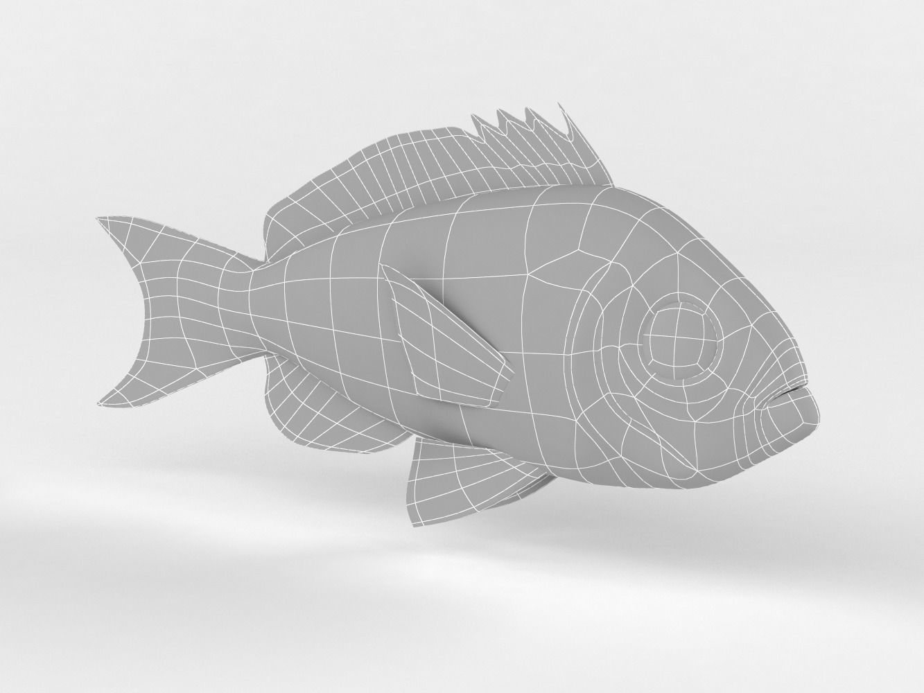Creole Fish 3D model_7