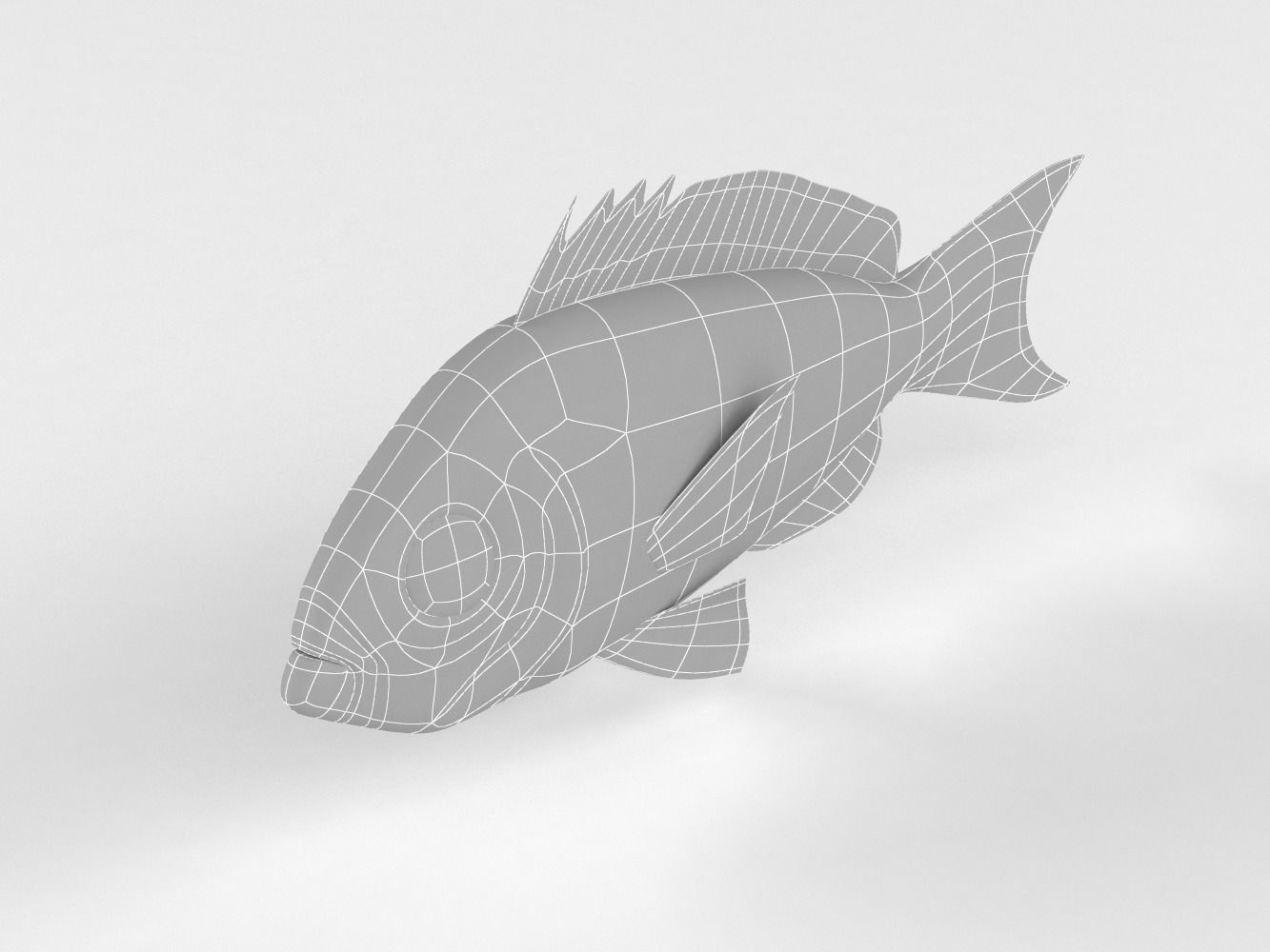 Creole Fish 3D model_10