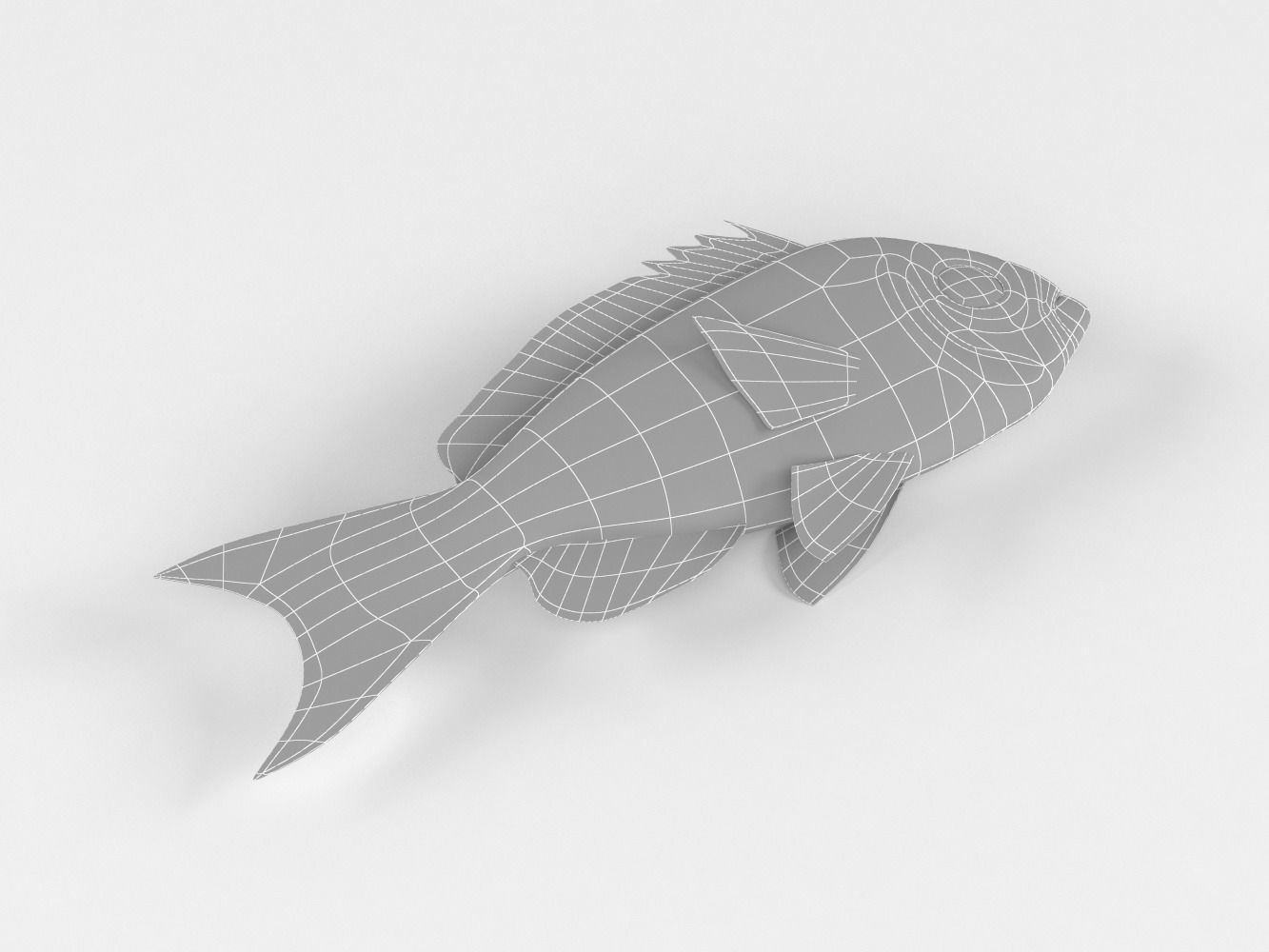 Creole Fish 3D model_11