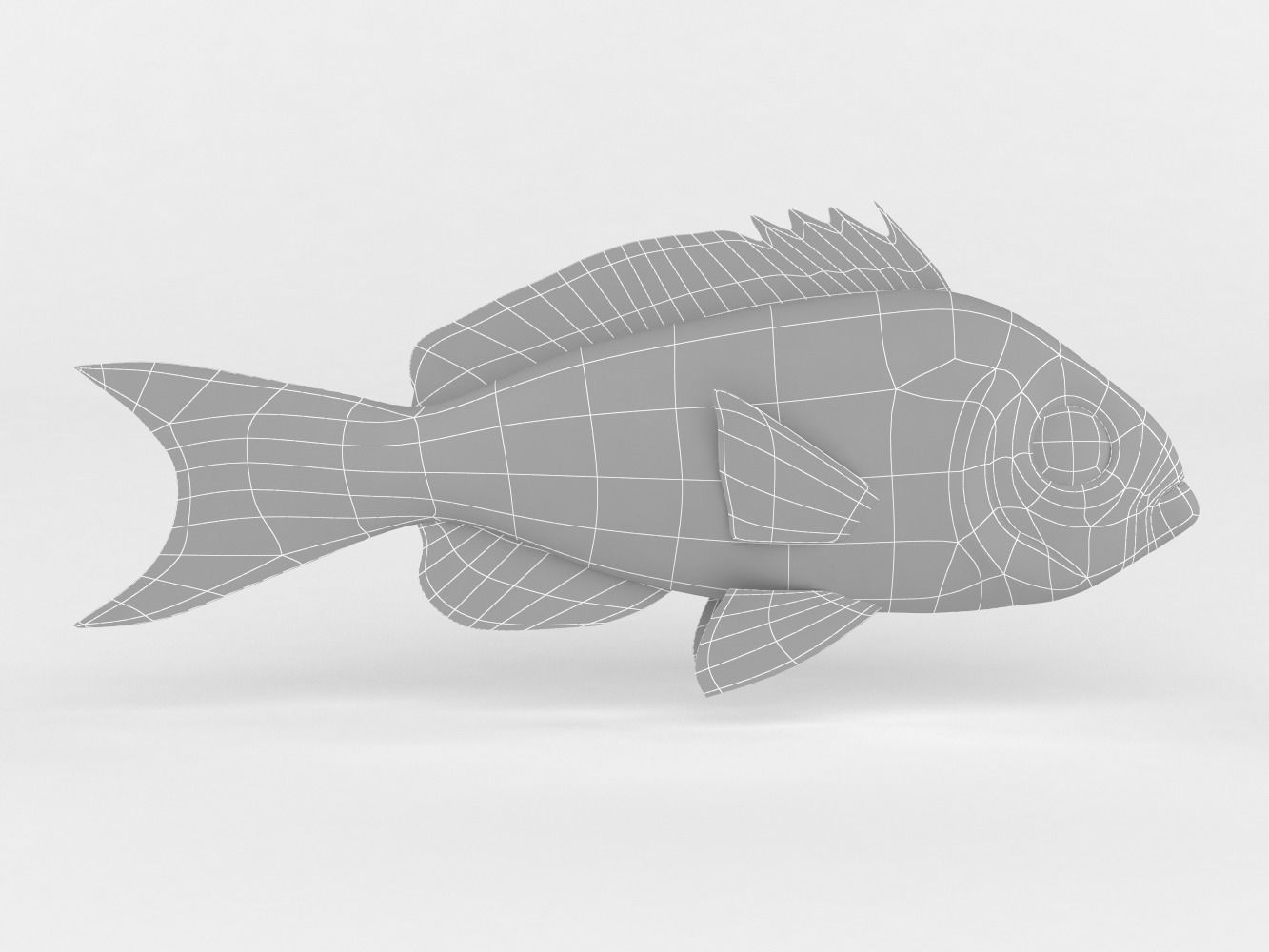 Creole Fish 3D model_6