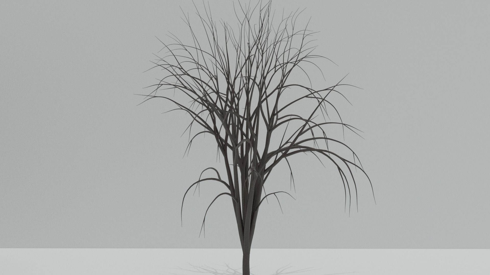 4 Pack Of High Poly Trees 3D model_5