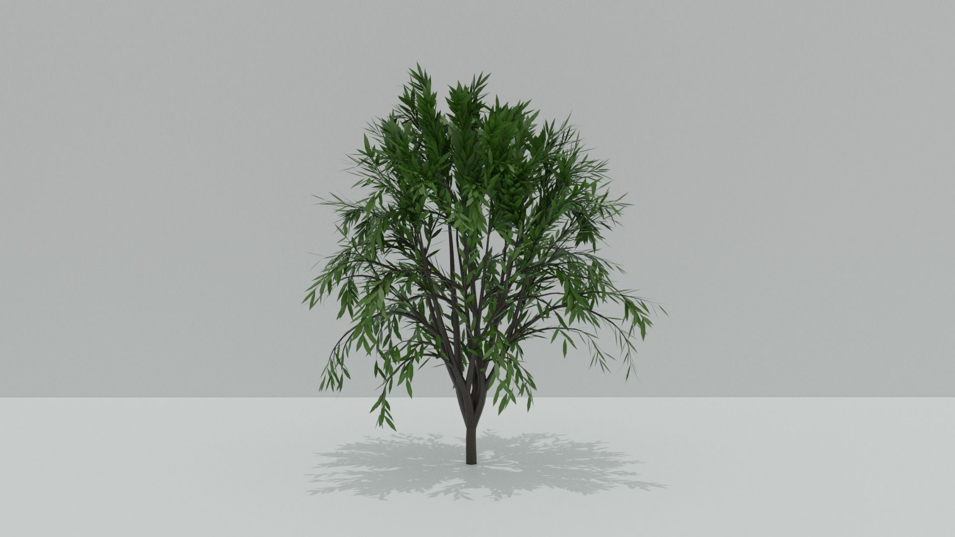 4 Pack Of High Poly Trees 3D model_3