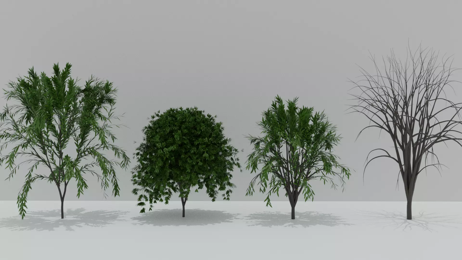 4 Pack Of High Poly Trees 3D model_0