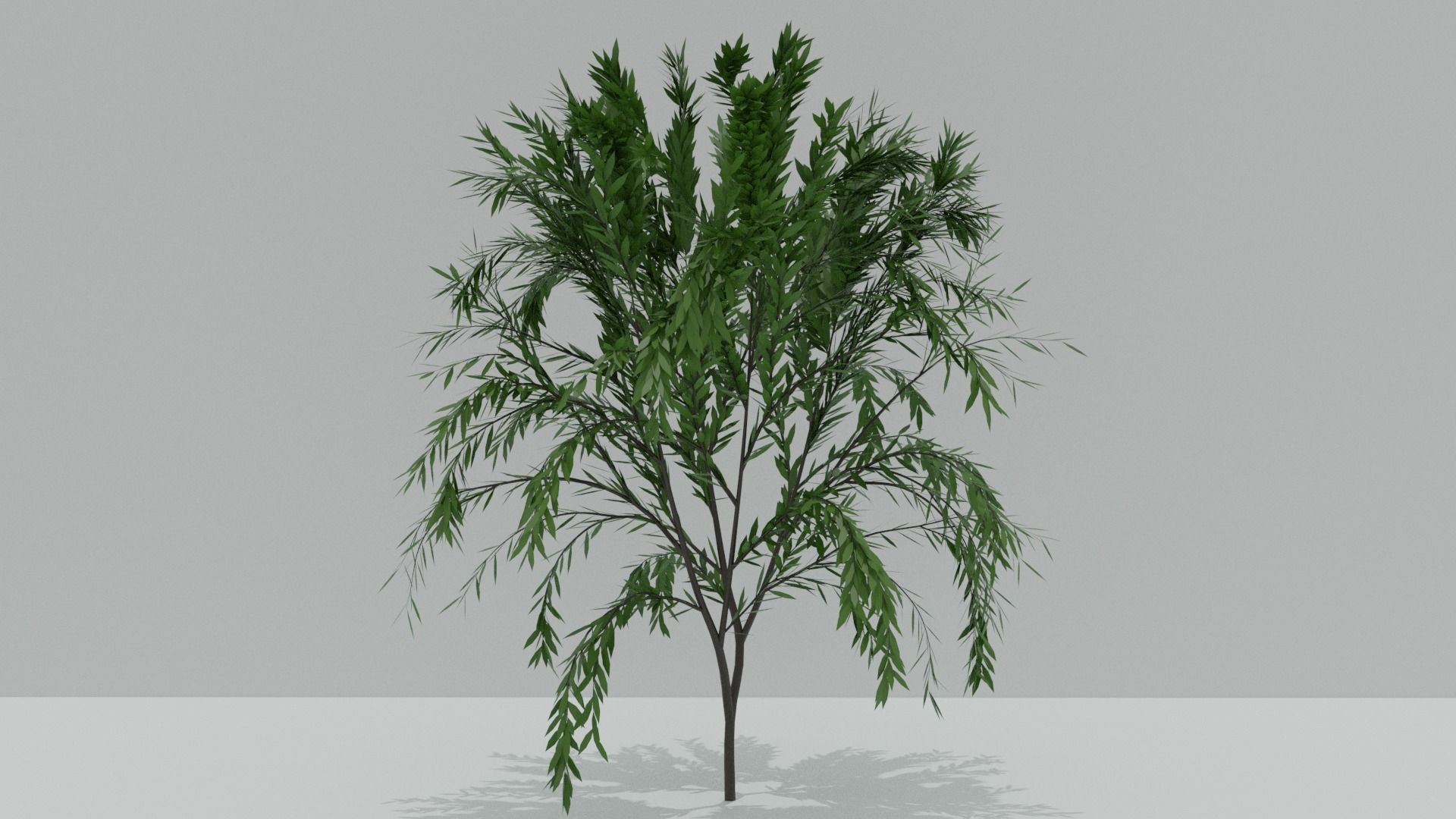 4 Pack Of High Poly Trees 3D model_2