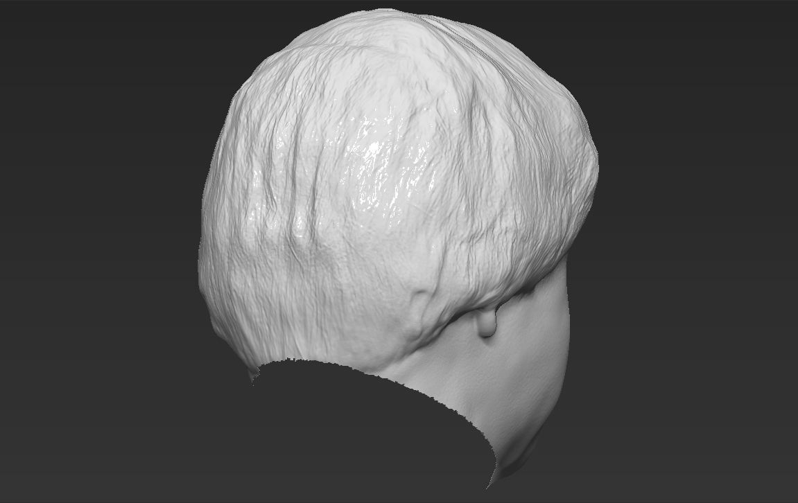 Boris Johnson 3D model_31