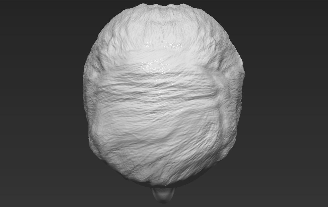 Boris Johnson 3D model_39