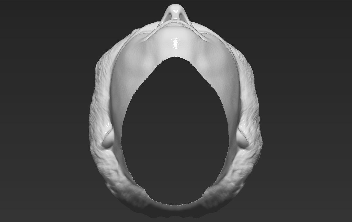 Boris Johnson 3D model_46