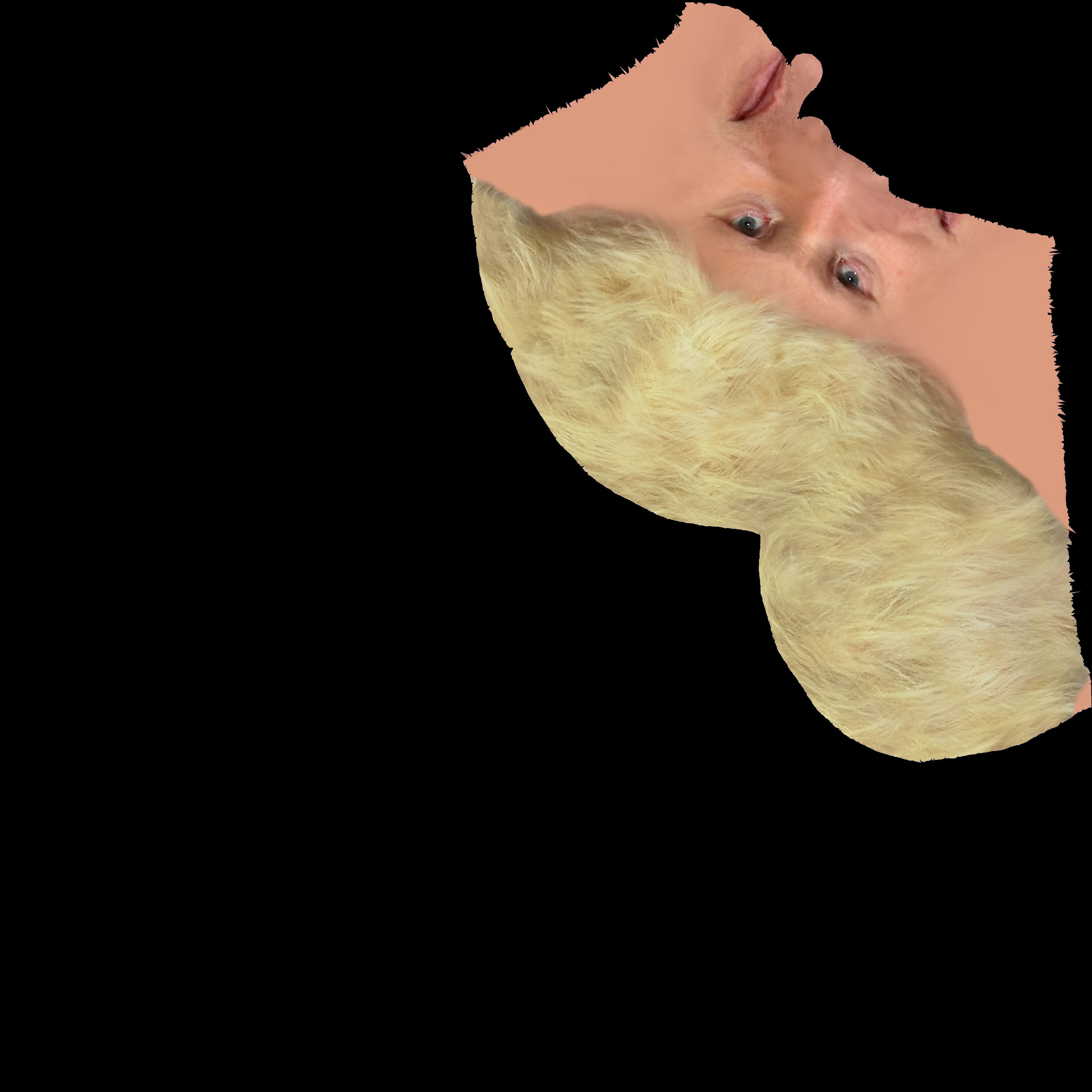 Boris Johnson 3D model_24