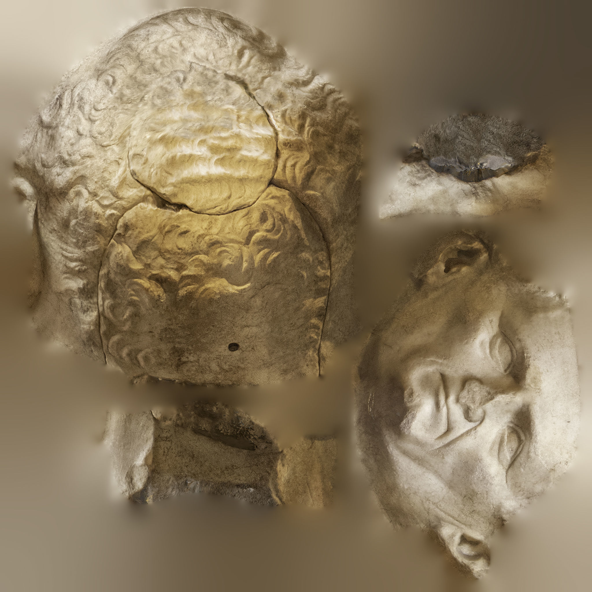 Head of Nerva 3D model_12