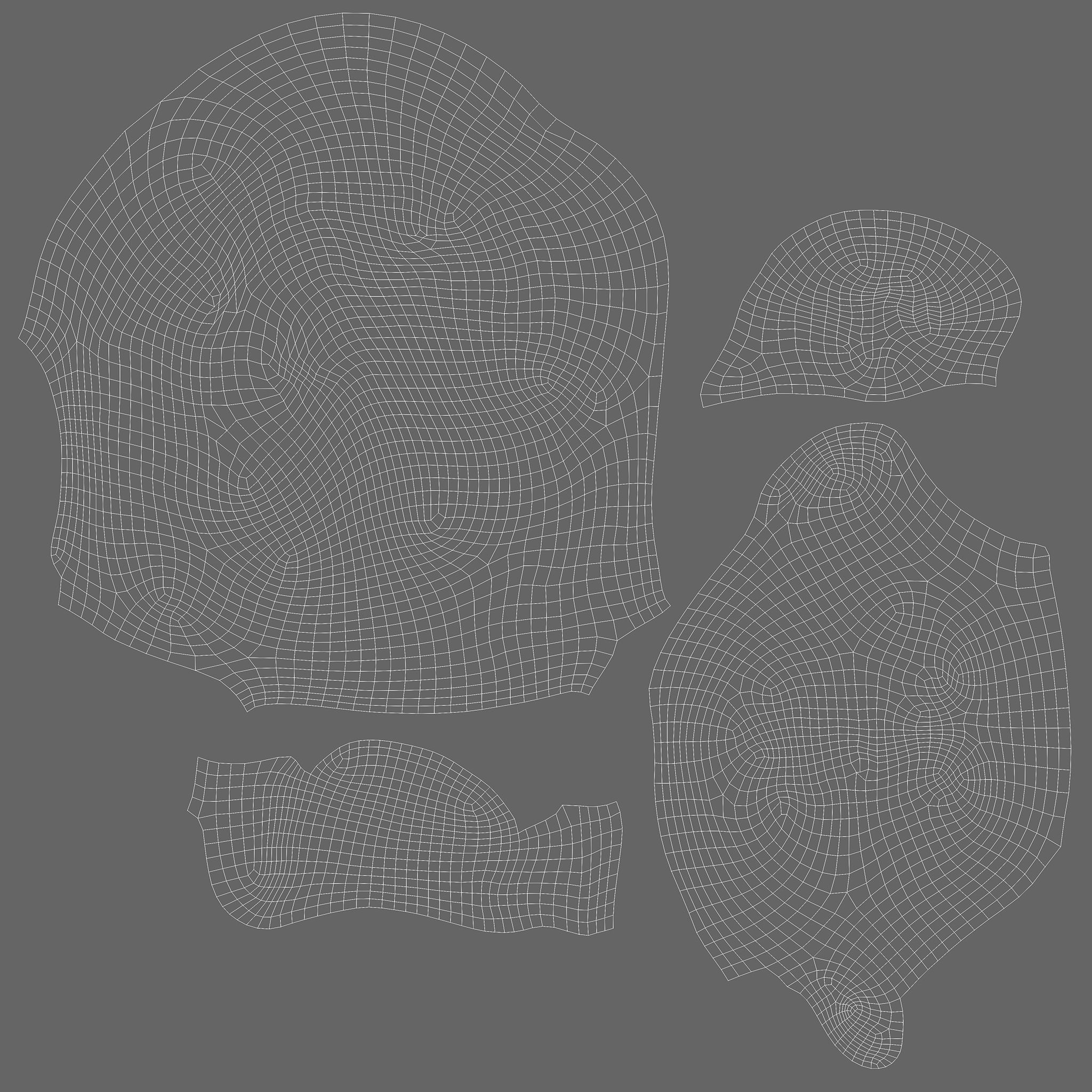 Head of Nerva 3D model_9