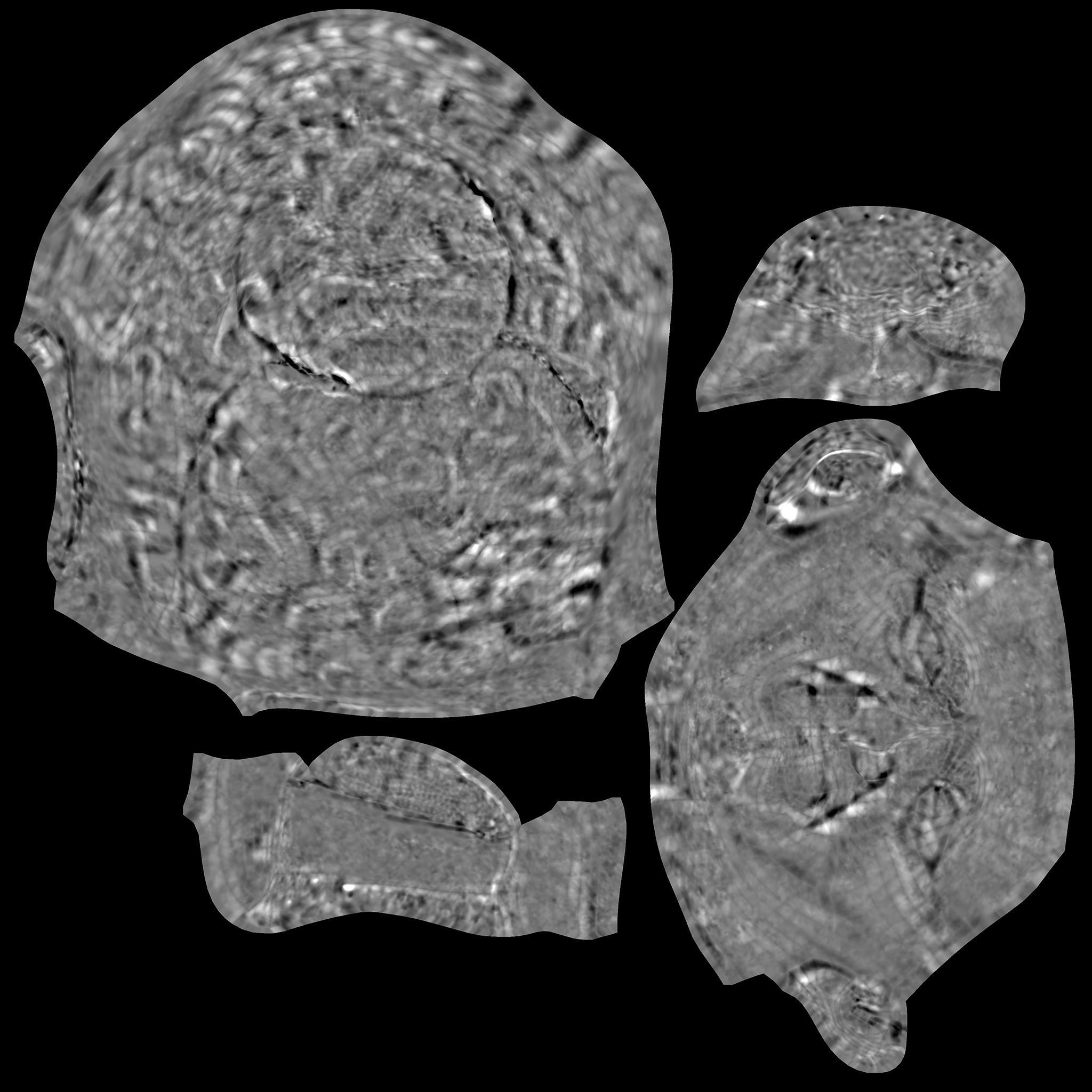 Head of Nerva 3D model_16