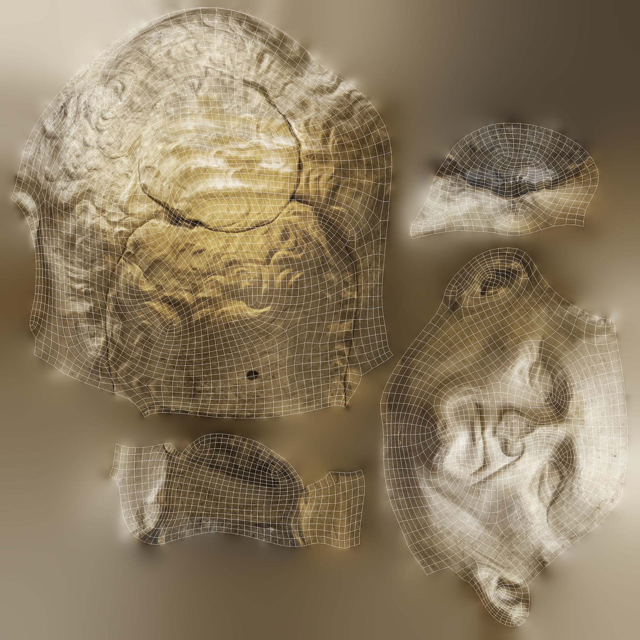 Head of Nerva 3D model_10