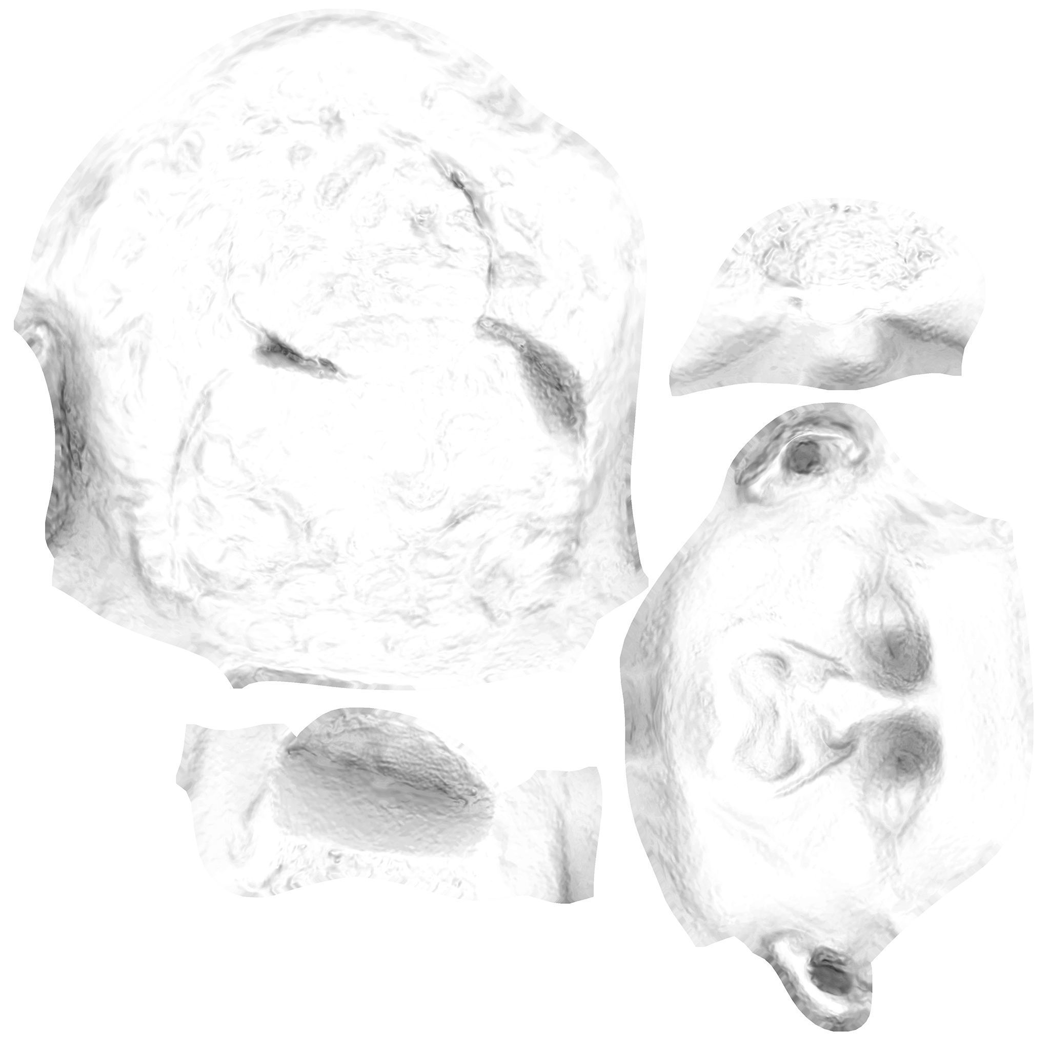 Head of Nerva 3D model_14