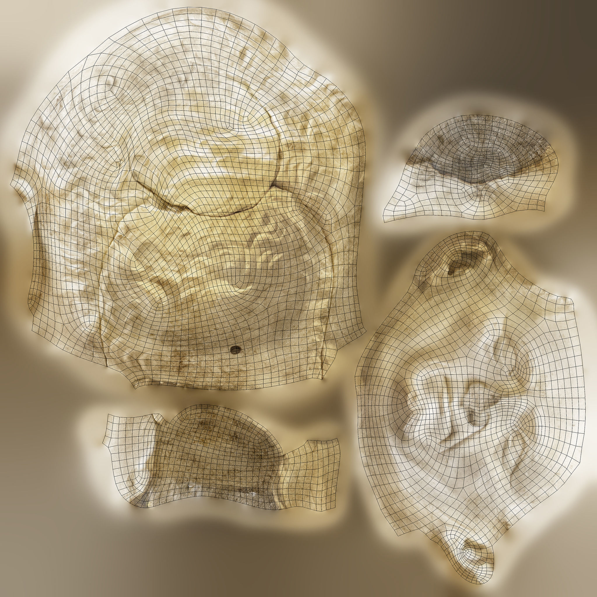 Head of Nerva 3D model_11