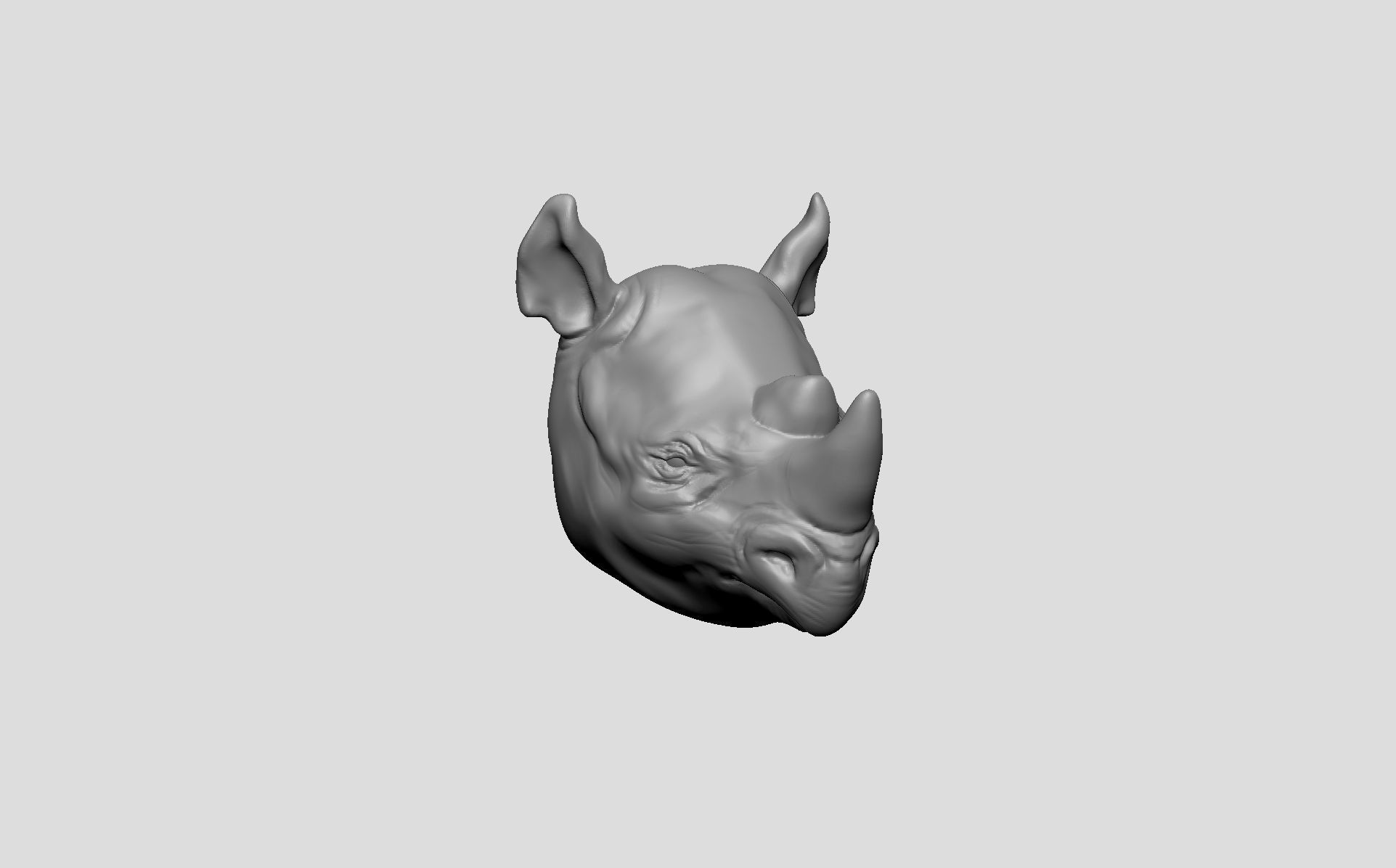 Animals head base 3D model CGTrader