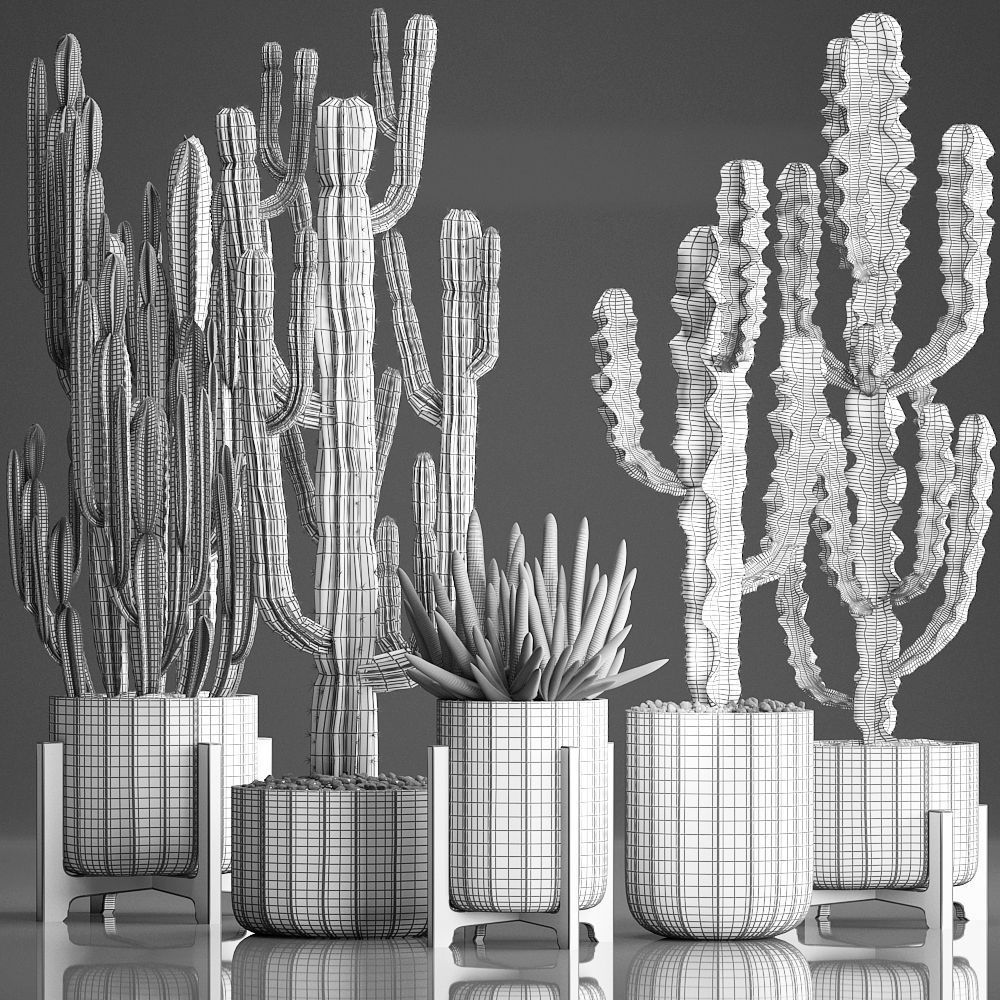 Collection of Exotic Cactus Plants 374 3D model_8