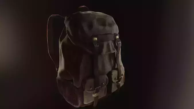 Backpack 2