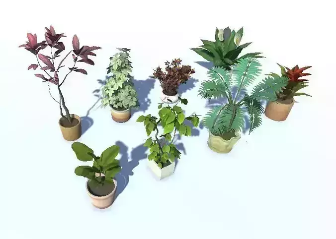 Indoor Potted Plant Lowpoly