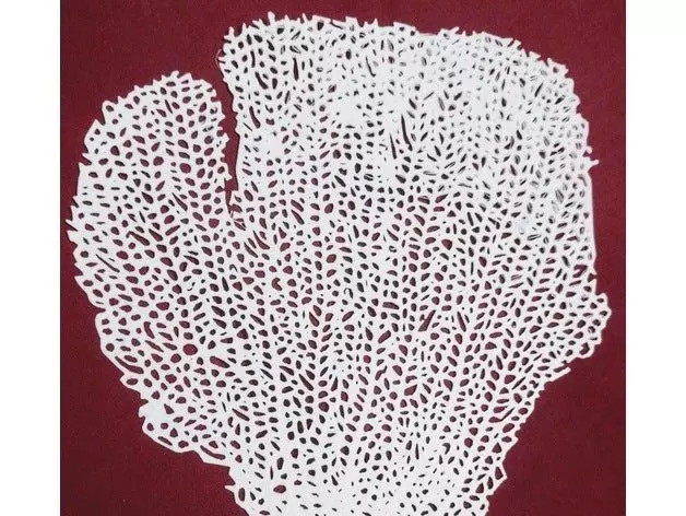 Real sea Gorgonia sea fan coral 3D print model