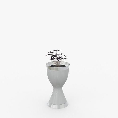 Oxalis Triangular Low-poly 3D model