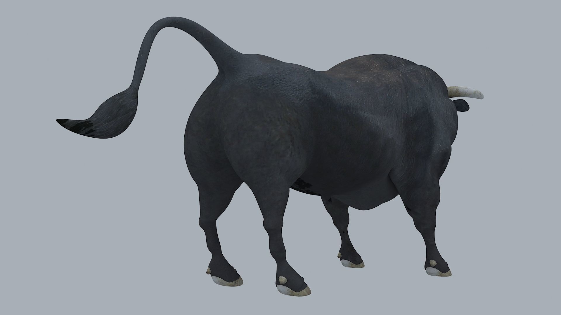 Bull Animal High poly 3D Model For Games 3D model_6