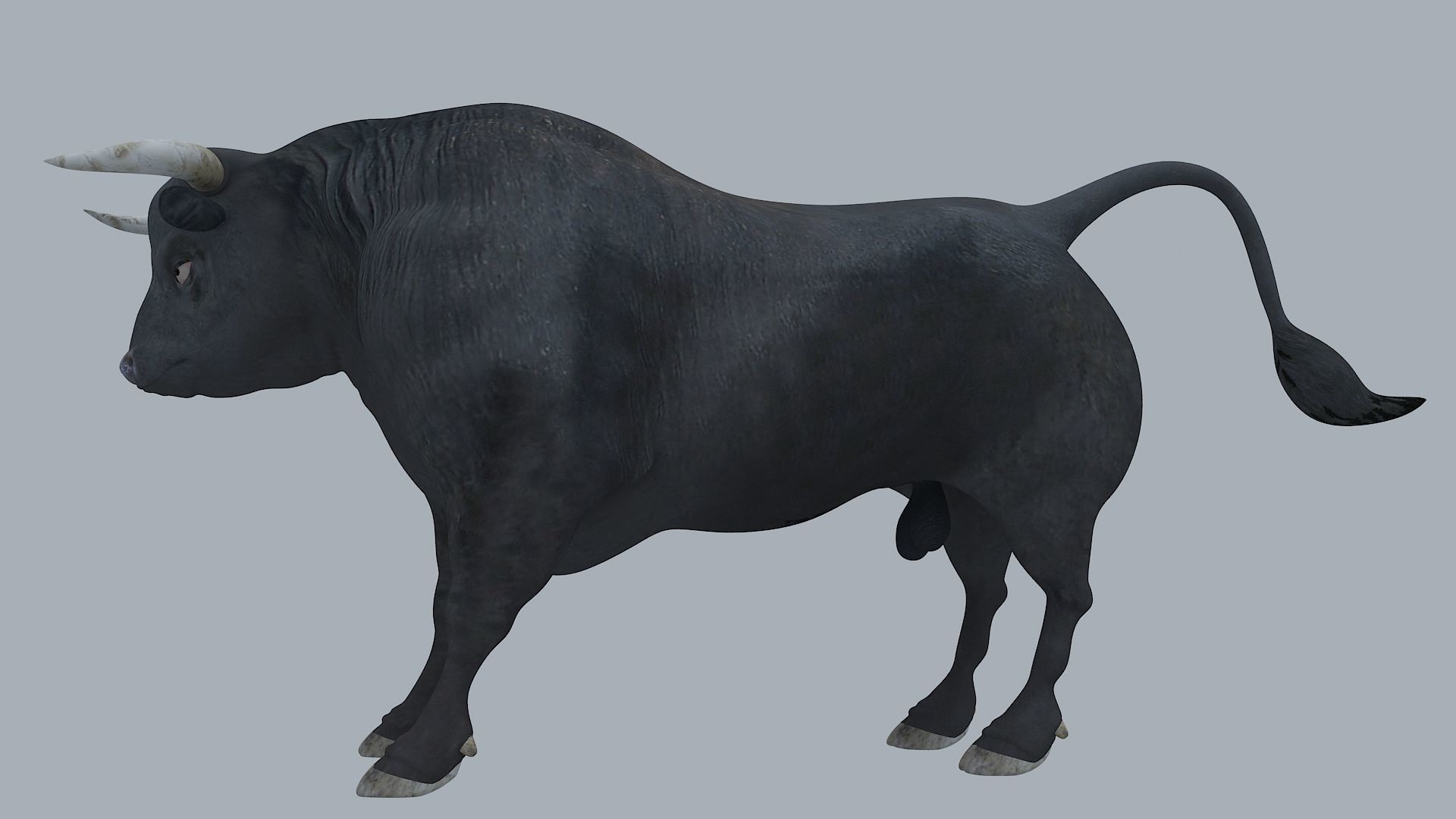 Bull Animal High poly 3D Model For Games 3D model_3