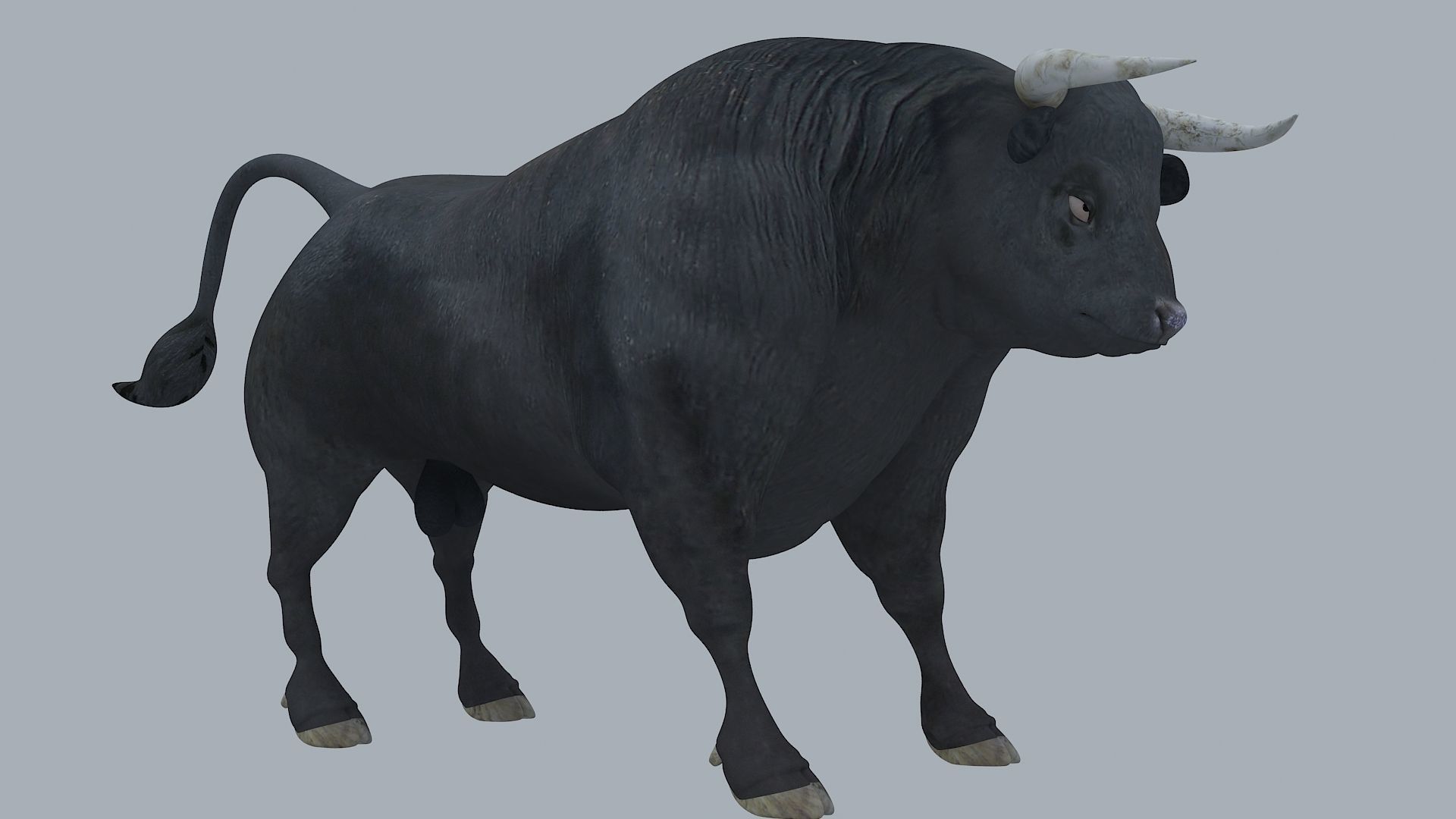 Bull Animal High poly 3D Model For Games 3D model_5