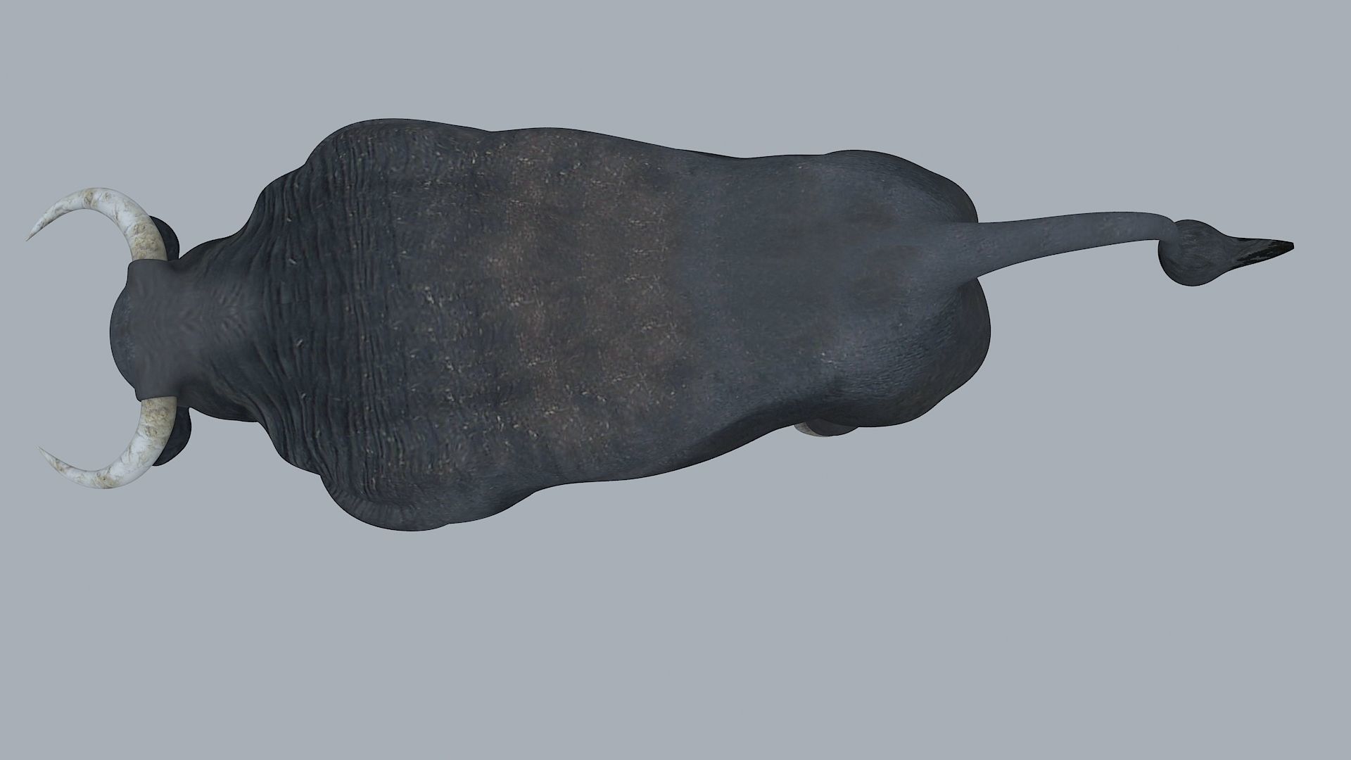 Bull Animal High poly 3D Model For Games 3D model_14