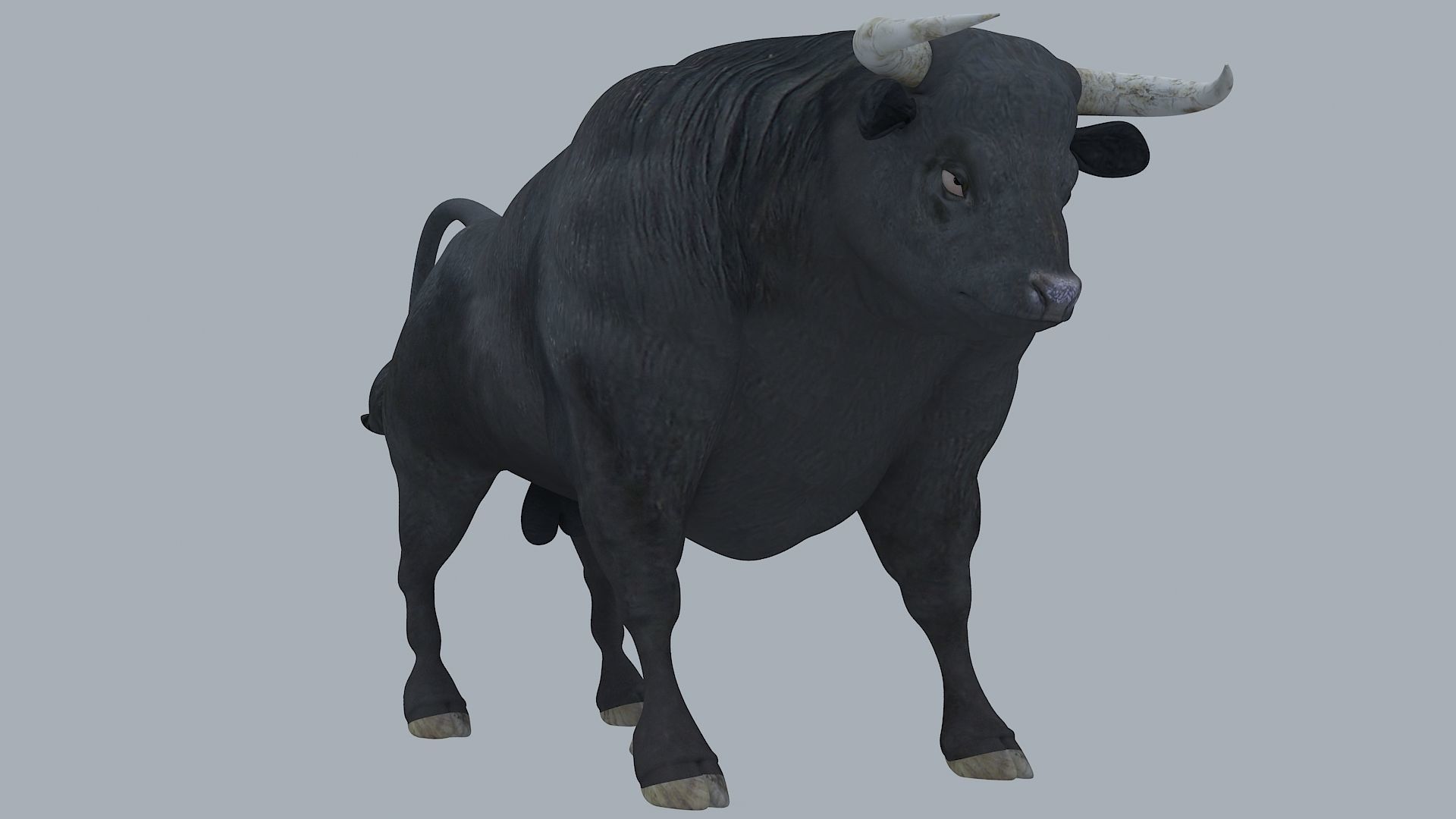 Bull Animal High poly 3D Model For Games 3D model_1