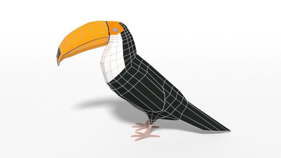 Low Poly Cartoon Toucan Bird Low-poly 3D model_14