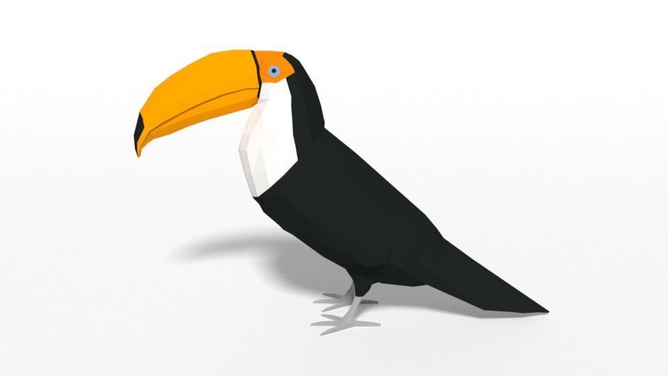 Low Poly Cartoon Toucan Bird Low-poly 3D model_6