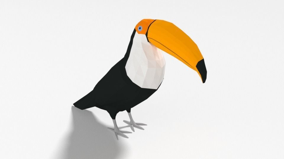 Low Poly Cartoon Toucan Bird Low-poly 3D model_2