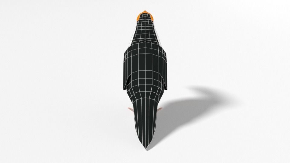 Low Poly Cartoon Toucan Bird Low-poly 3D model_12