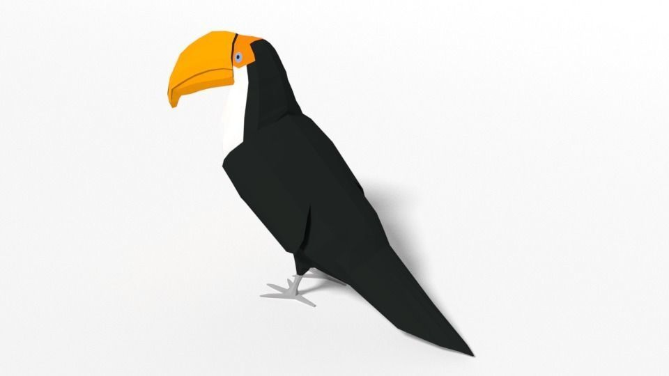 Low Poly Cartoon Toucan Bird Low-poly 3D model_5
