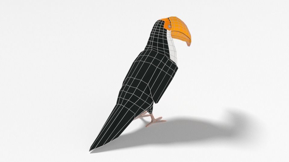 Low Poly Cartoon Toucan Bird Low-poly 3D model_11
