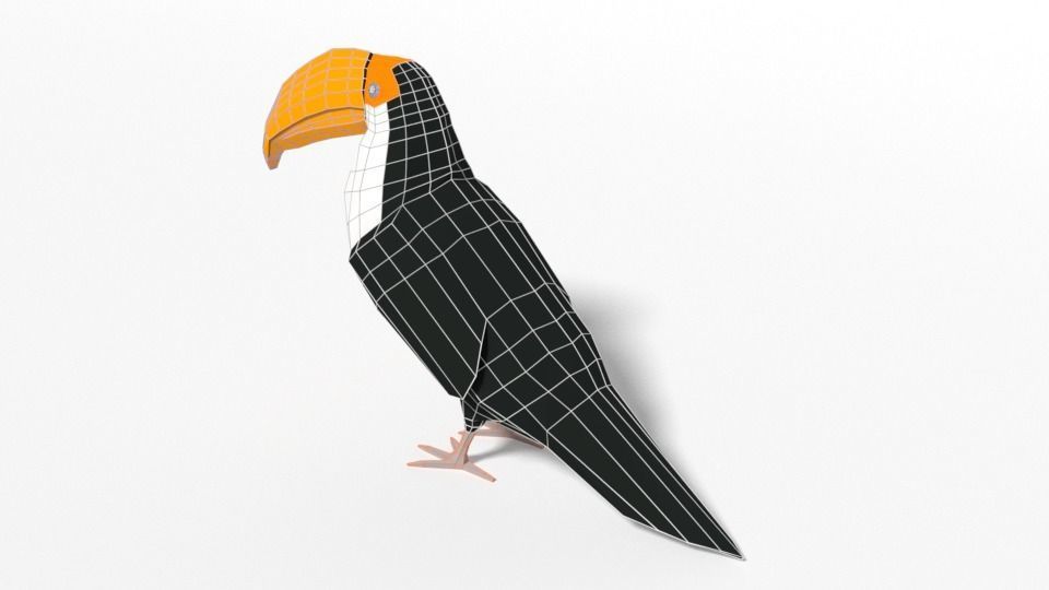 Low Poly Cartoon Toucan Bird Low-poly 3D model_13