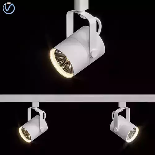 Ceiling Lamps CENTRSVET 30