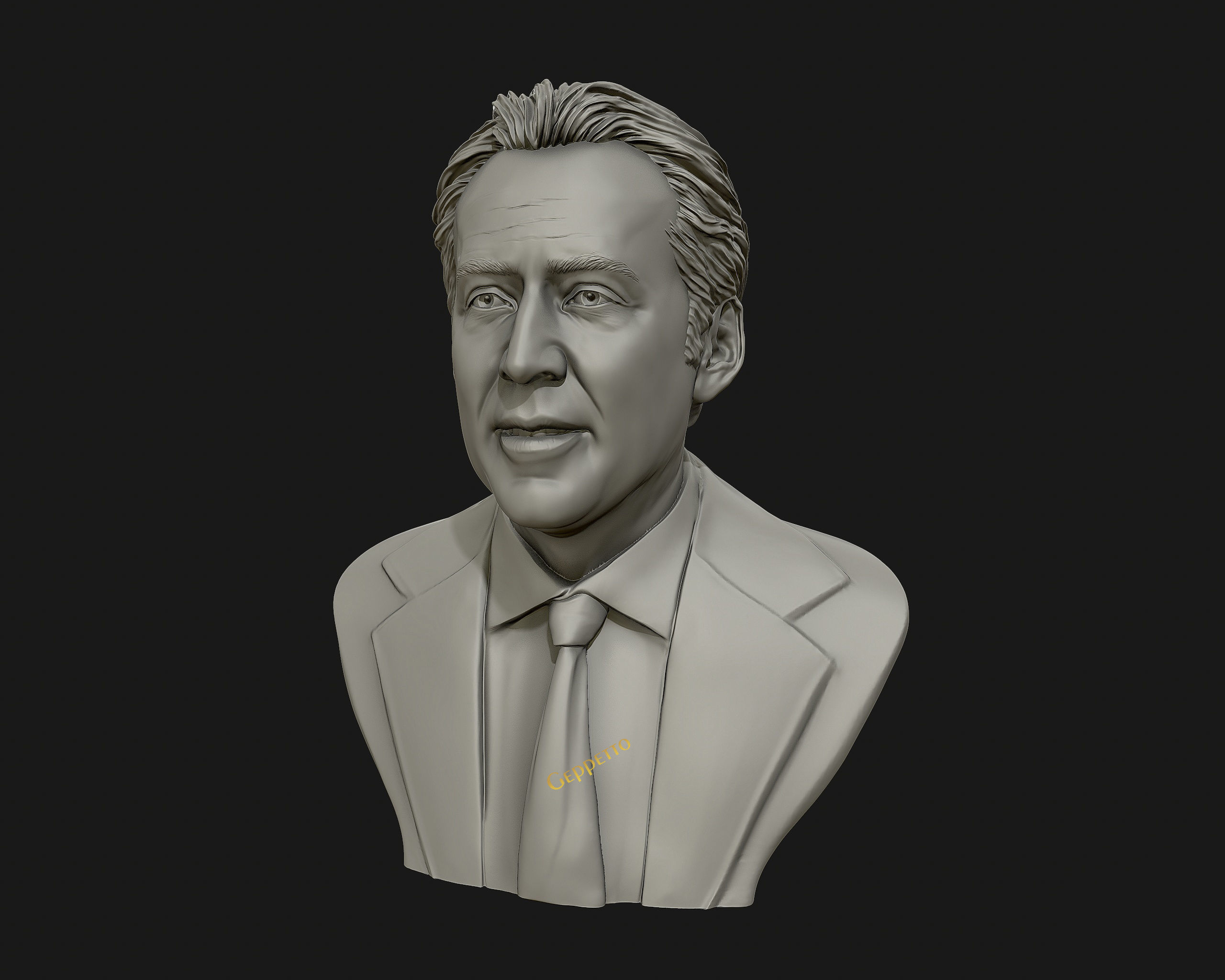 Nicolas Cage 3D printable portrait model 3D print model_35