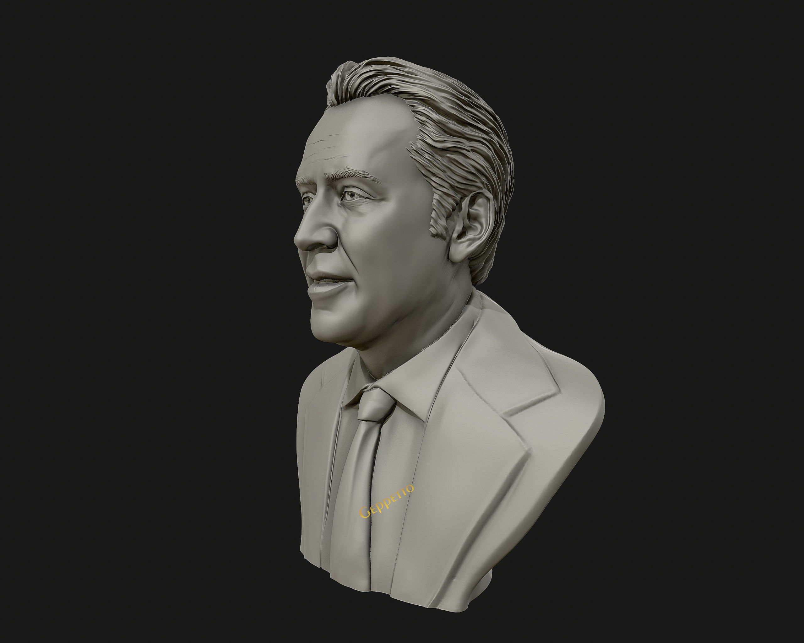 Nicolas Cage 3D printable portrait model 3D print model_48