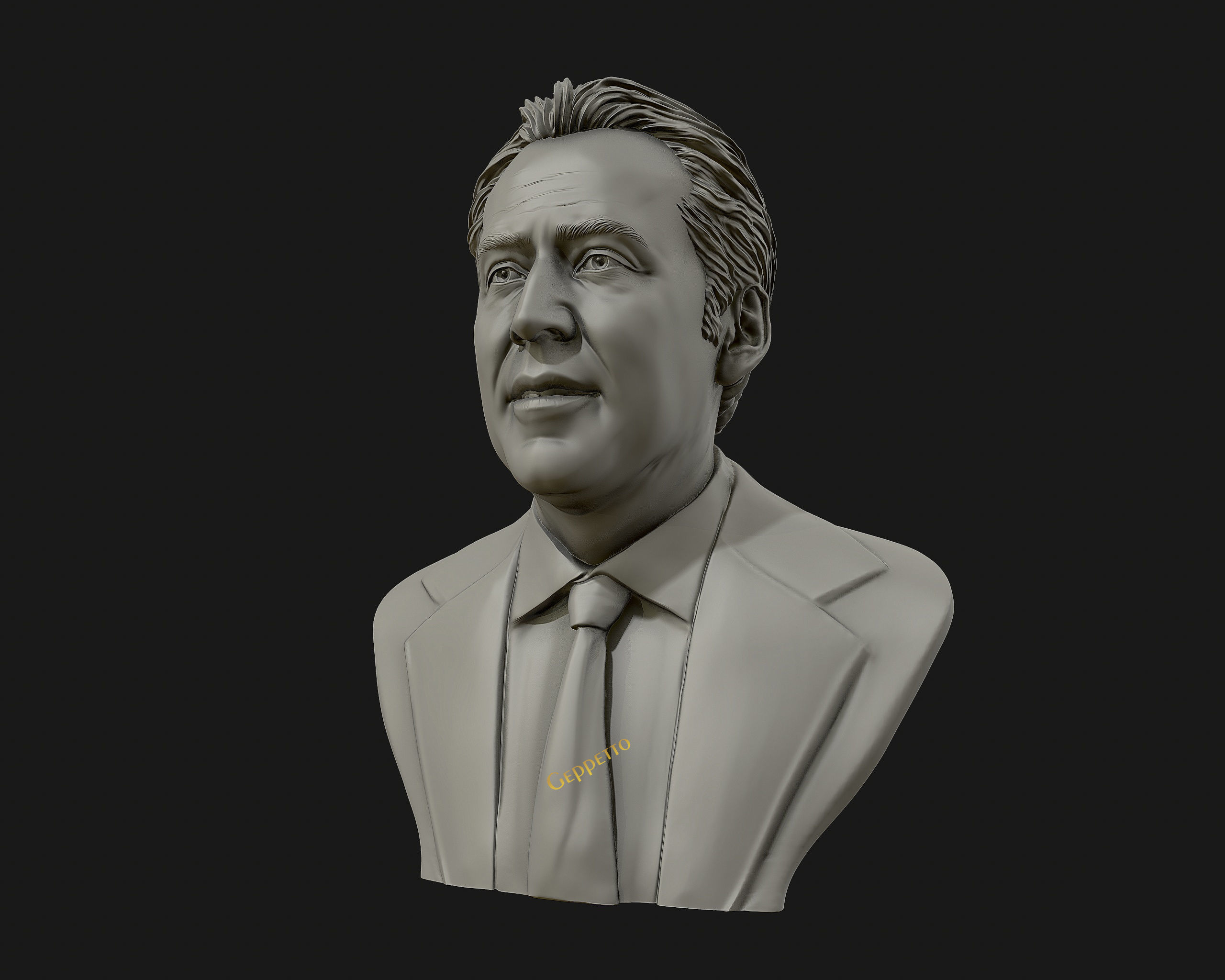 Nicolas Cage 3D printable portrait model 3D print model_20