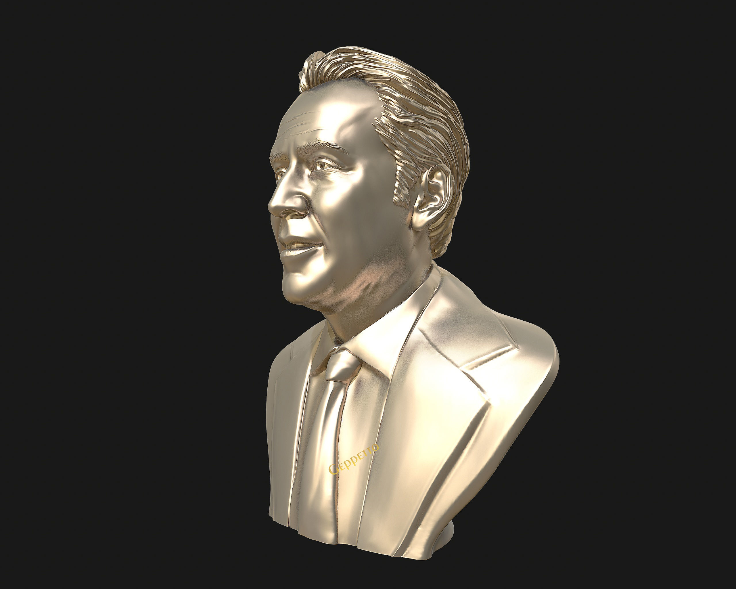 Nicolas Cage 3D printable portrait model 3D print model_28