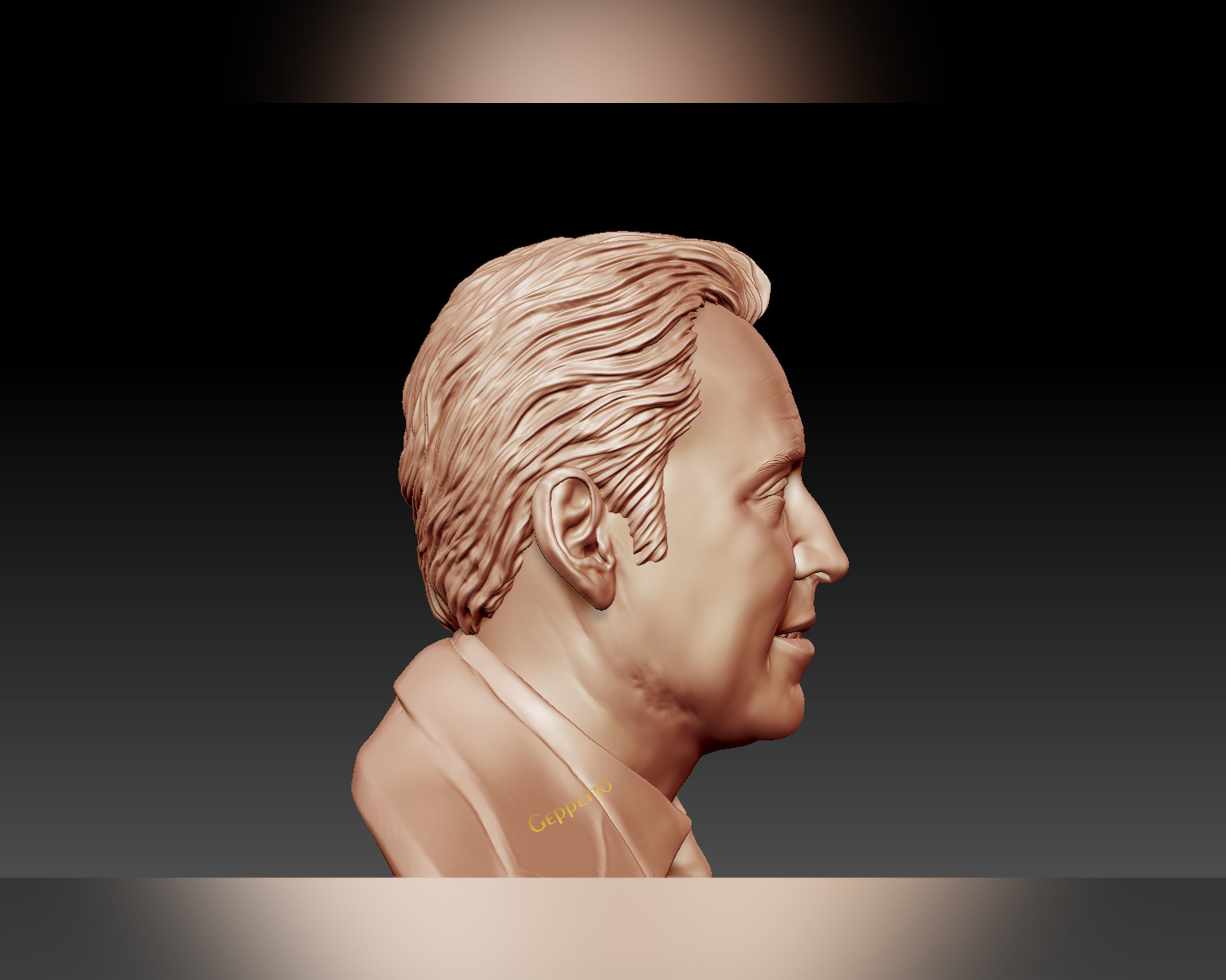 Nicolas Cage 3D printable portrait model 3D print model_42