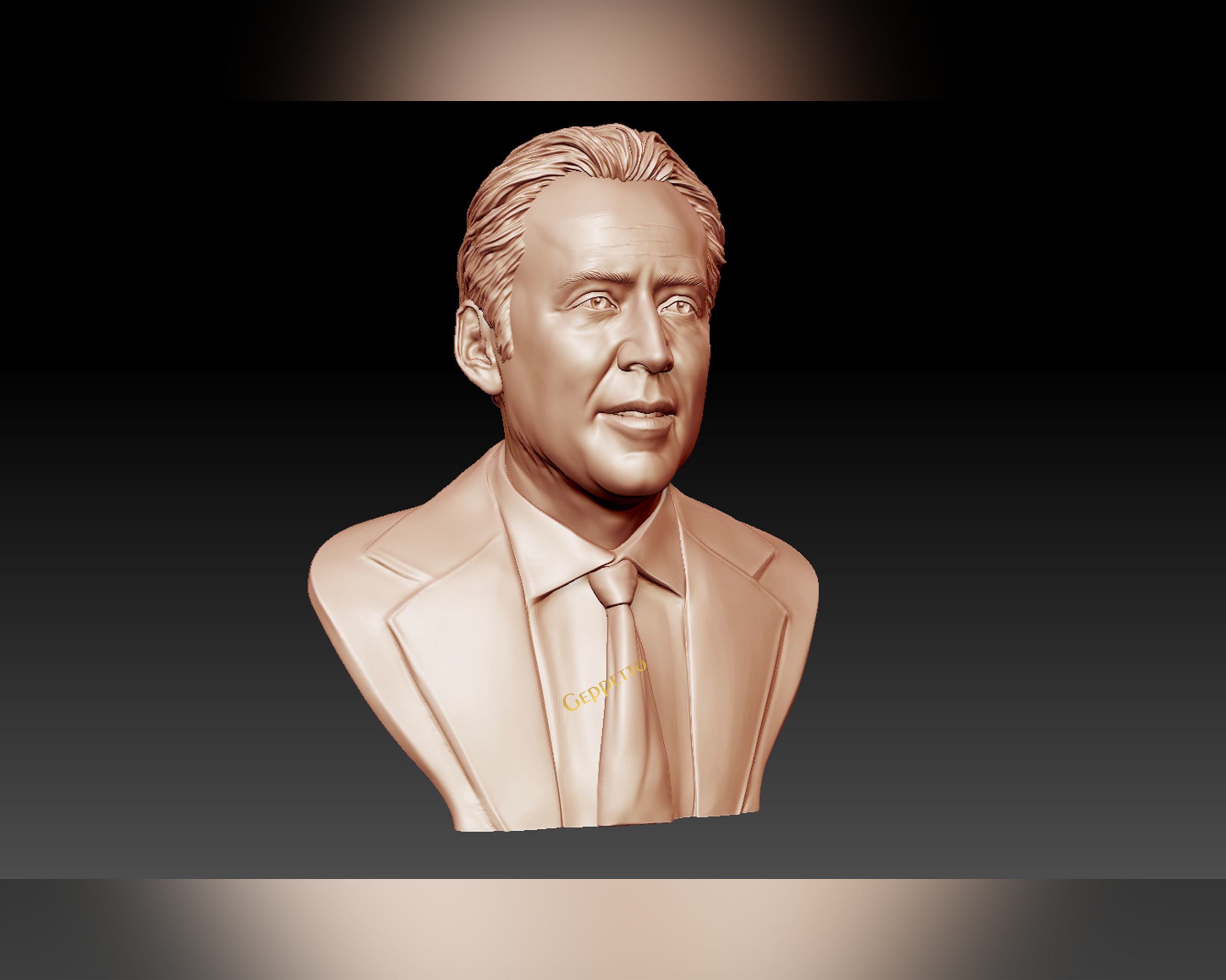 Nicolas Cage 3D printable portrait model 3D print model_39