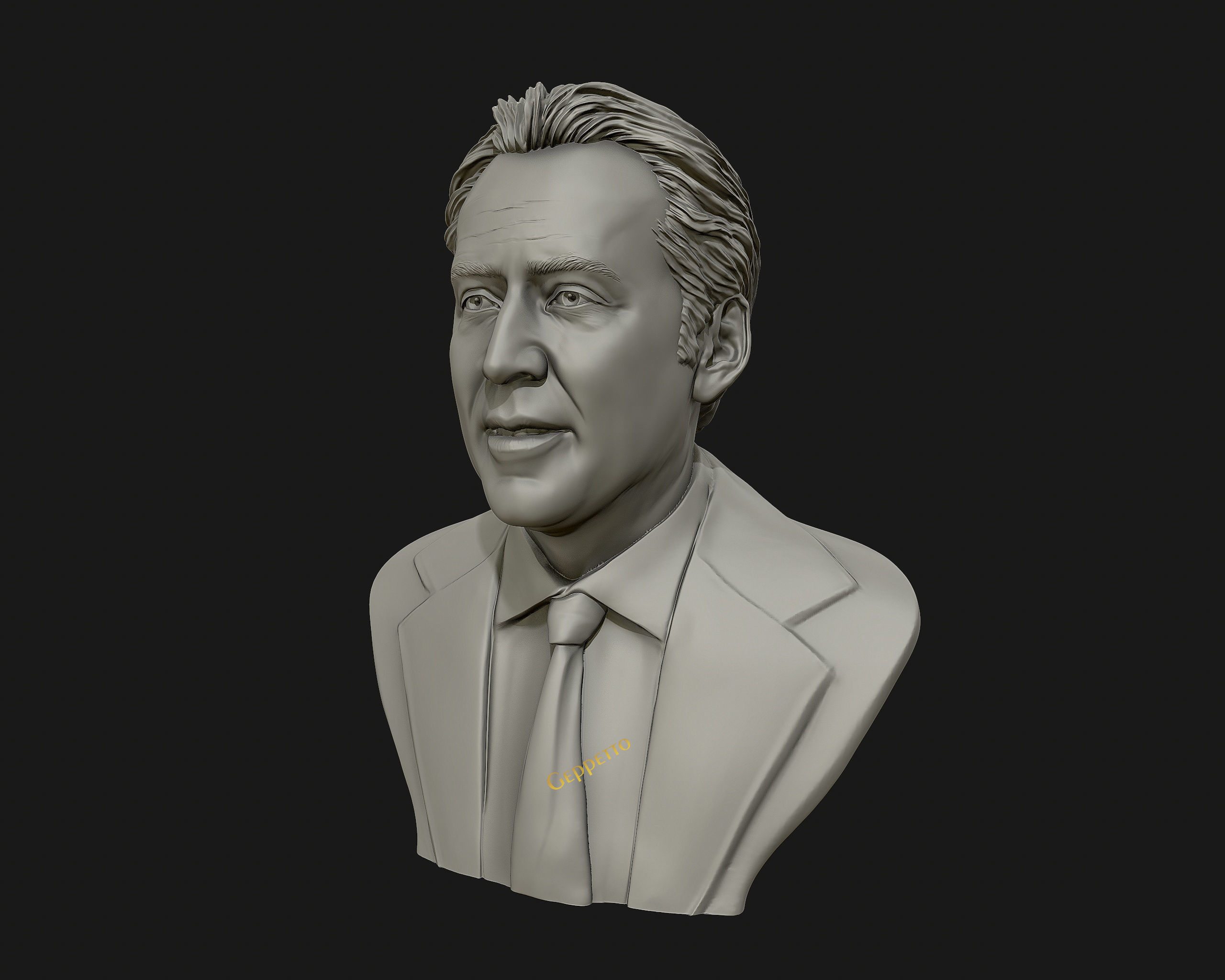 Nicolas Cage 3D printable portrait model 3D print model_45
