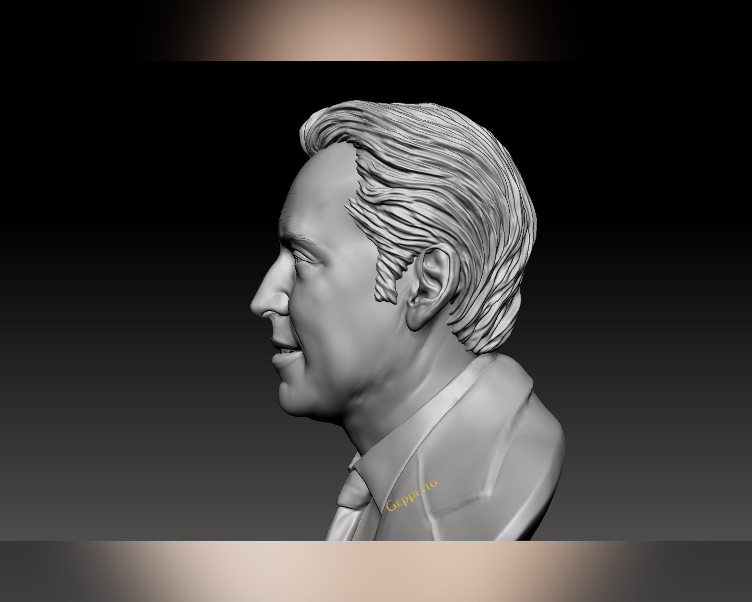 Nicolas Cage 3D printable portrait model 3D print model_46