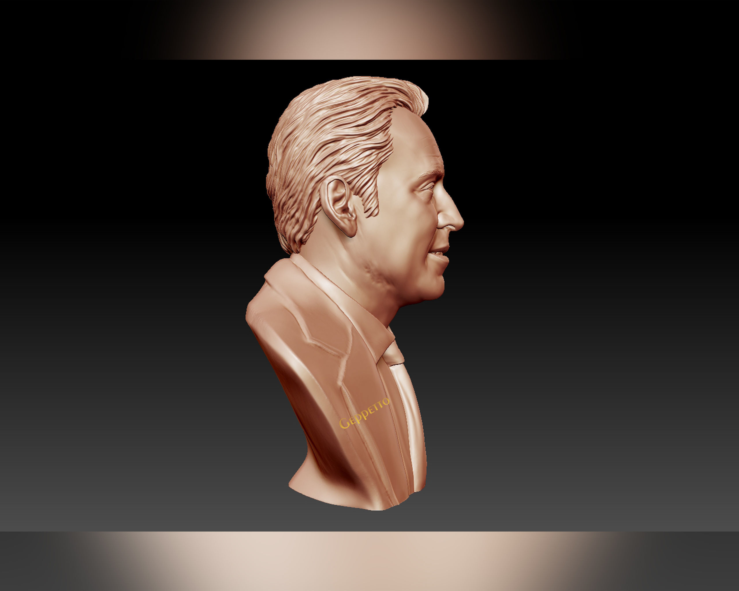 Nicolas Cage 3D printable portrait model 3D print model_40