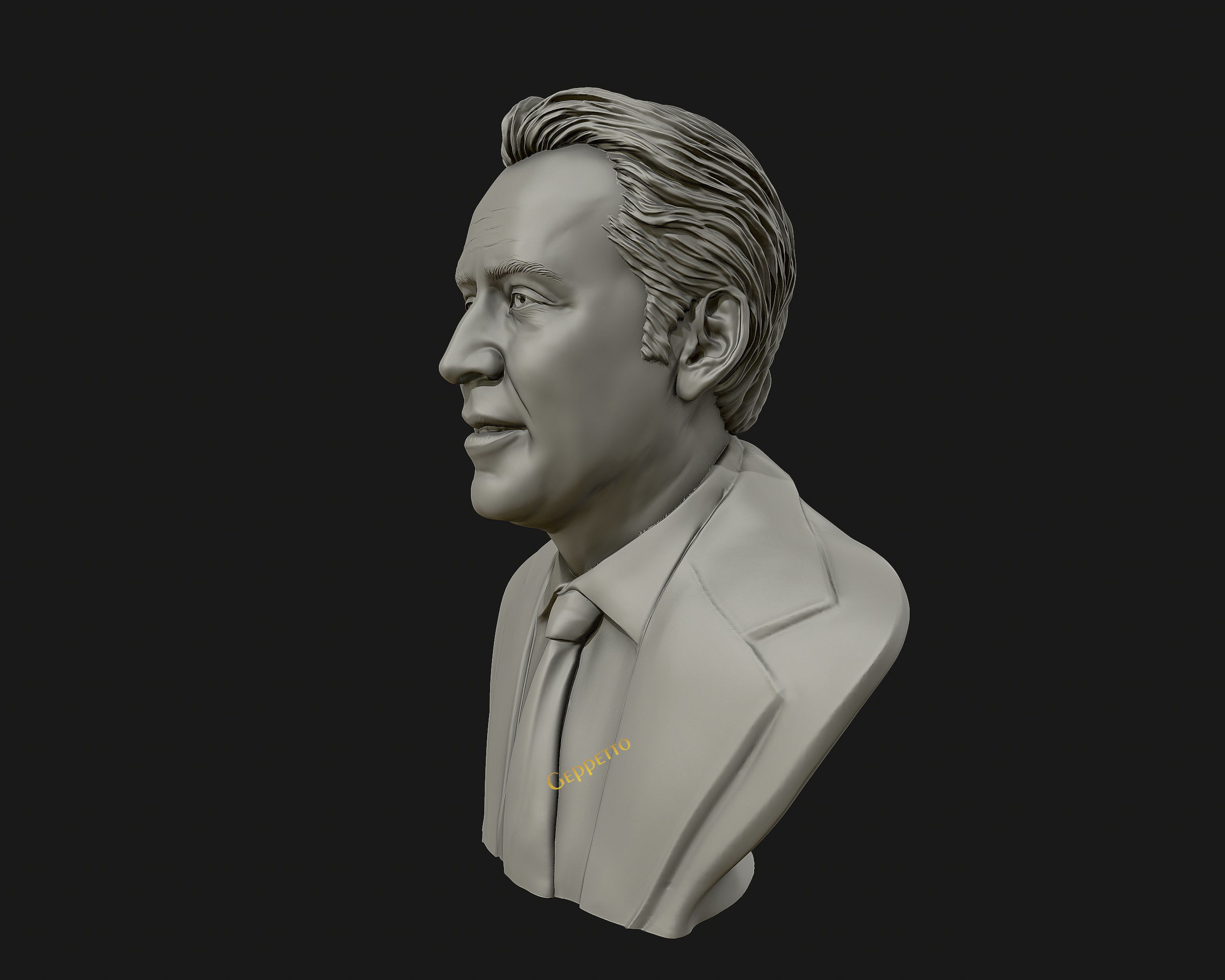 Nicolas Cage 3D printable portrait model 3D print model_50