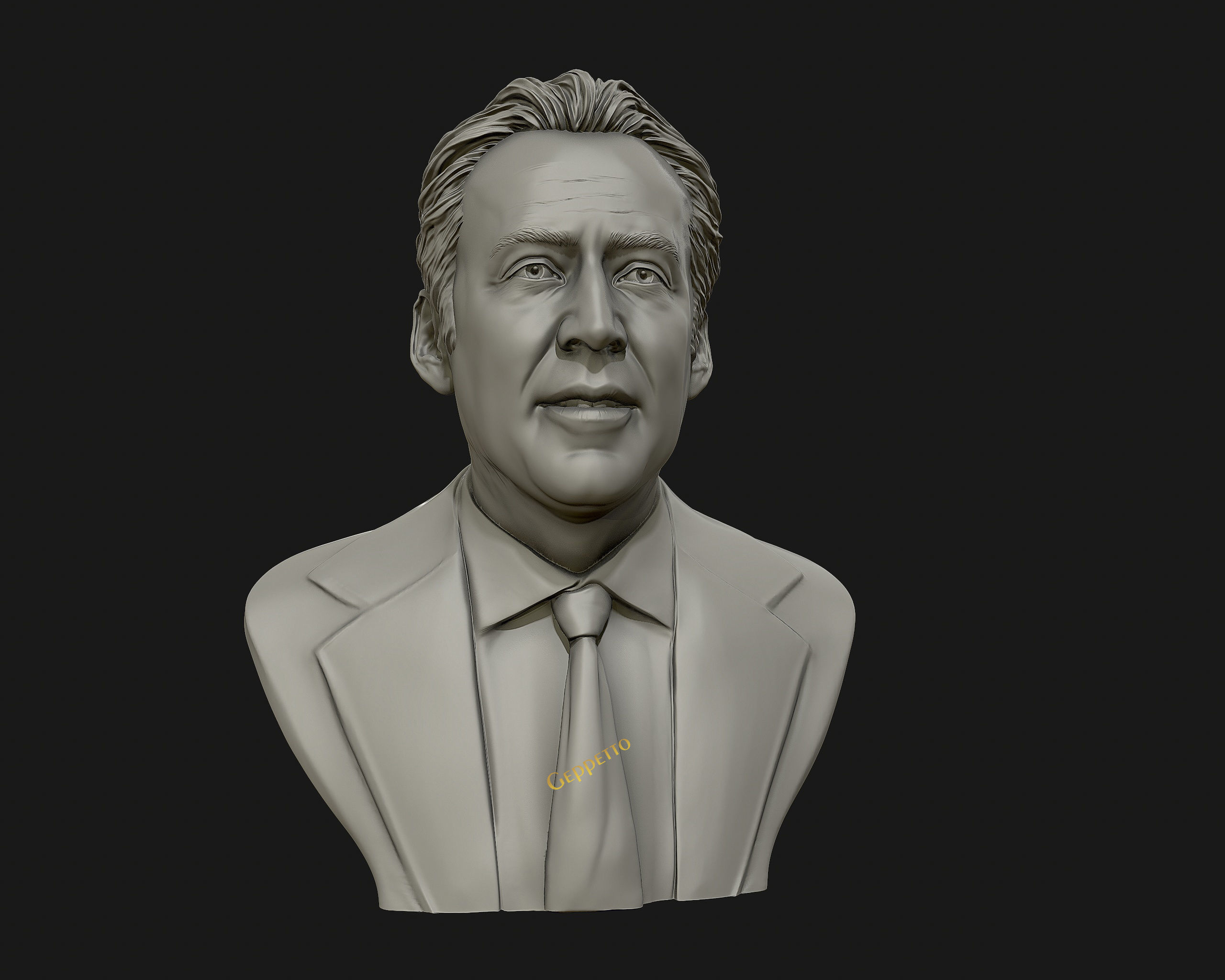Nicolas Cage 3D printable portrait model 3D print model_6